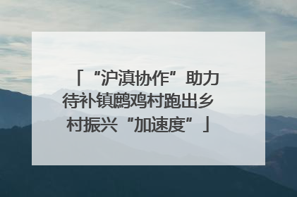 “沪滇协作”助力待补镇鹧鸡村跑出乡村振兴“加速度”