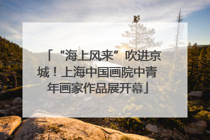 “海上风来”吹进京城！上海中国画院中青年画家作品展开幕