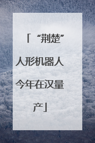 “荆楚”人形机器人今年在汉量产