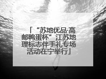 “苏地优品·高邮鸭蛋杯”江苏地理标志伴手礼专场活动在宁举行