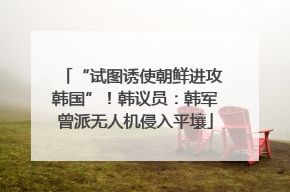 “试图诱使朝鲜进攻韩国”！韩议员：韩军曾派无人机侵入平壤