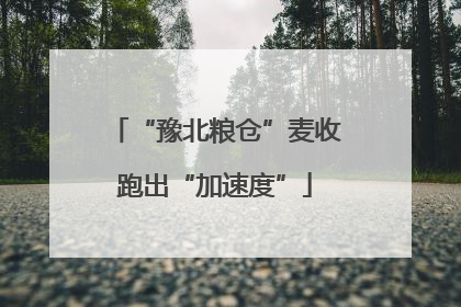 “豫北粮仓”麦收跑出“加速度”