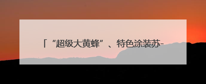 “超级大黄蜂”、特色涂装苏-30MKM 众多明星装备亮相