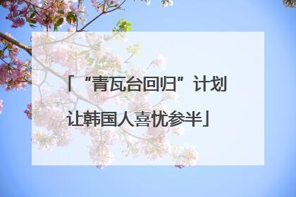 “青瓦台回归”计划让韩国人喜忧参半
