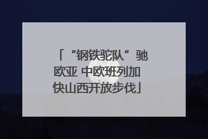“钢铁驼队”驰欧亚 中欧班列加快山西开放步伐