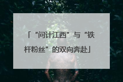 “问计江西”与“铁杆粉丝”的双向奔赴