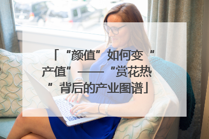 “颜值”如何变“产值”——“赏花热”背后的产业图谱