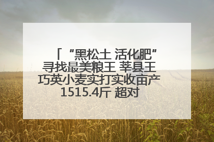 “黑松土 活化肥”寻找最美粮王 莘县王巧英小麦实打实收亩产1515.4斤 超对照田144斤！