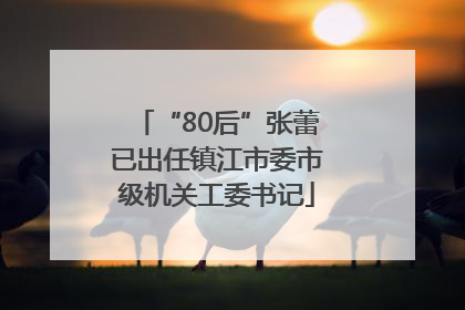 “80后”张蕾已出任镇江市委市级机关工委书记