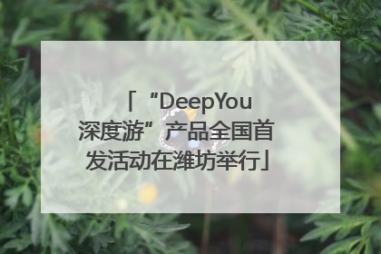 “DeepYou深度游”产品全国首发活动在潍坊举行