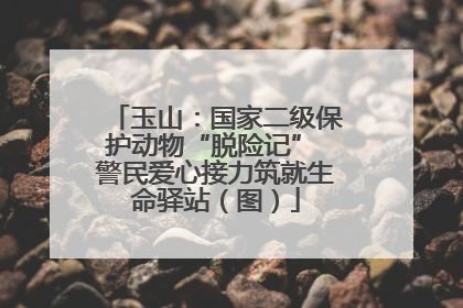 玉山：国家二级保护动物“脱险记” 警民爱心接力筑就生命驿站（图）