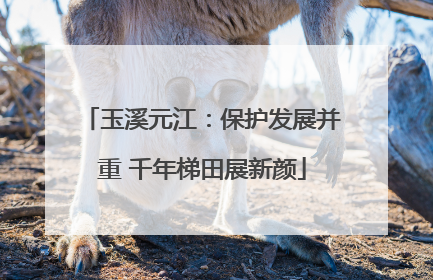 玉溪元江：保护发展并重 千年梯田展新颜