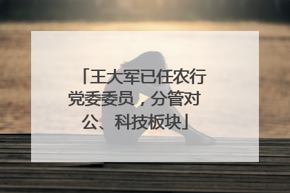 王大军已任农行党委委员，分管对公、科技板块