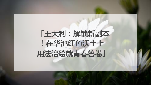 王大利：解锁新副本！在华池红色沃土上 用法治绘就青春答卷