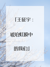 王征宇：琥珀虹膜中的我们