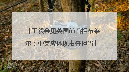 王毅会见英国前首相布莱尔：中英应体现责任担当