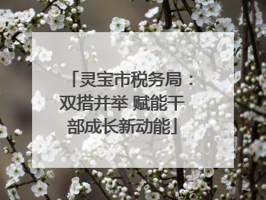 灵宝市税务局：双措并举 赋能干部成长新动能