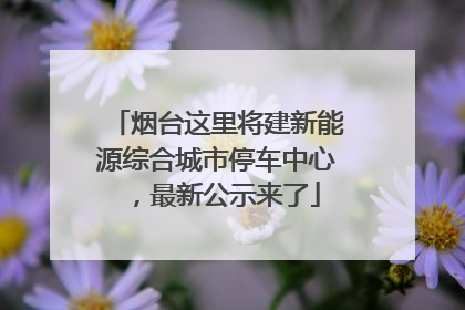 烟台这里将建新能源综合城市停车中心，最新公示来了