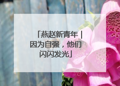 燕赵新青年｜因为自强，他们闪闪发光