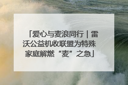 爱心与麦浪同行｜雷沃公益机收联盟为特殊家庭解燃“麦”之急