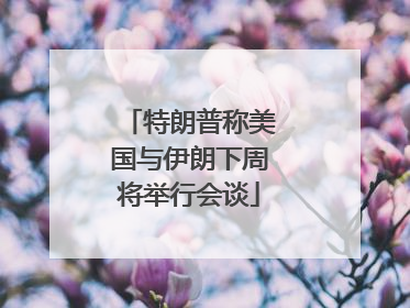 特朗普称美国与伊朗下周将举行会谈