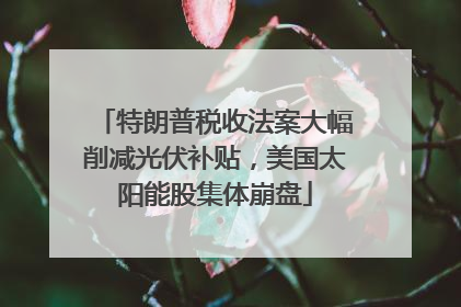 特朗普税收法案大幅削减光伏补贴，美国太阳能股集体崩盘