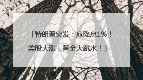 特朗普突发：应降息1%！美股大涨，黄金大跳水！