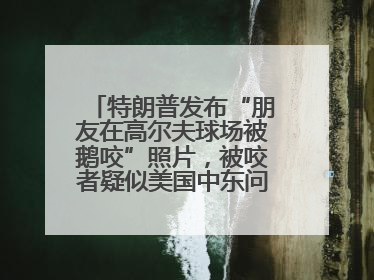 特朗普发布“朋友在高尔夫球场被鹅咬”照片，被咬者疑似美国中东问题特使