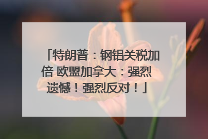 特朗普：钢铝关税加倍 欧盟加拿大：强烈遗憾！强烈反对！