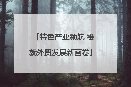 特色产业领航 绘就外贸发展新画卷