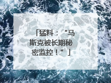 猛料：“马斯克被长期秘密监控！”