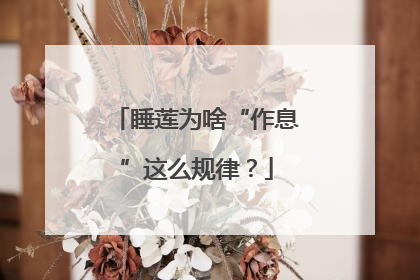 睡莲为啥“作息”这么规律？