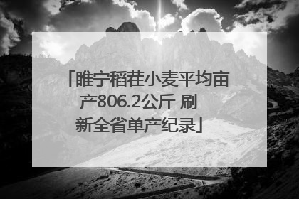 睢宁稻茬小麦平均亩产806.2公斤 刷新全省单产纪录