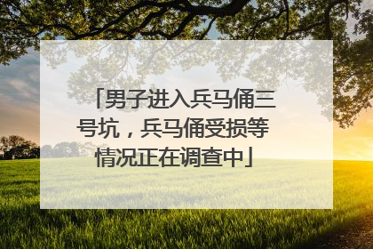 男子进入兵马俑三号坑，兵马俑受损等情况正在调查中