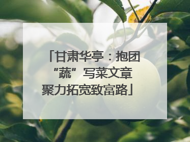 甘肃华亭：抱团“蔬”写菜文章 聚力拓宽致富路