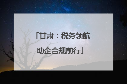 甘肃：税务领航 助企合规前行