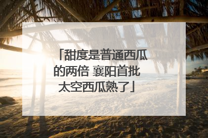 甜度是普通西瓜的两倍 襄阳首批太空西瓜熟了