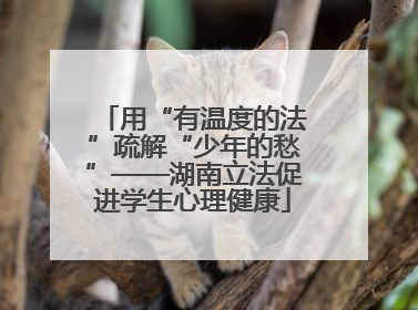 用“有温度的法”疏解“少年的愁”——湖南立法促进学生心理健康