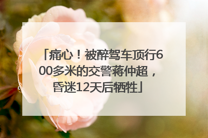 痛心！被醉驾车顶行600多米的交警蒋仲超，昏迷12天后牺牲