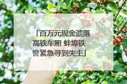 百万元现金遗落高铁车厢 蚌埠铁警紧急寻到失主