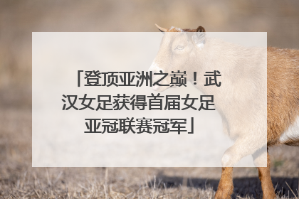 登顶亚洲之巅！武汉女足获得首届女足亚冠联赛冠军