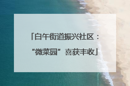 白午街道振兴社区：“微菜园”喜获丰收