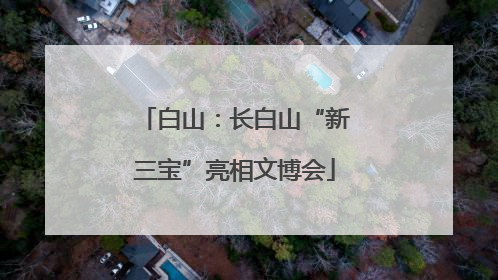白山：长白山“新三宝”亮相文博会