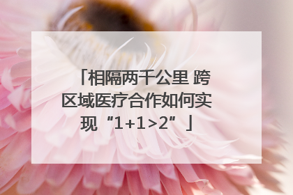 相隔两千公里 跨区域医疗合作如何实现“1+1>2”