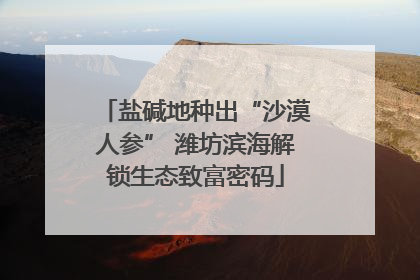 盐碱地种出“沙漠人参” 潍坊滨海解锁生态致富密码