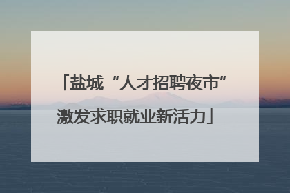盐城“人才招聘夜市”激发求职就业新活力