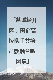 盐城经开区：国企高校携手共绘产教融合新图景