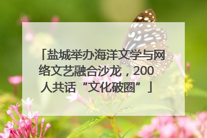 盐城举办海洋文学与网络文艺融合沙龙，200人共话“文化破圈”