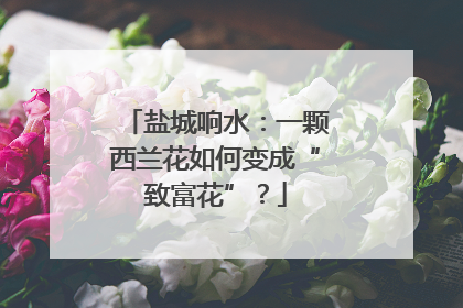 盐城响水：一颗西兰花如何变成“致富花”？