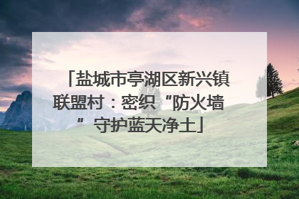 盐城市亭湖区新兴镇联盟村：密织“防火墙”守护蓝天净土